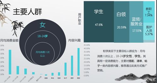 彩妝行業(yè)數據分析 為中小商家在紅海市場尋找信息系統集成突破口